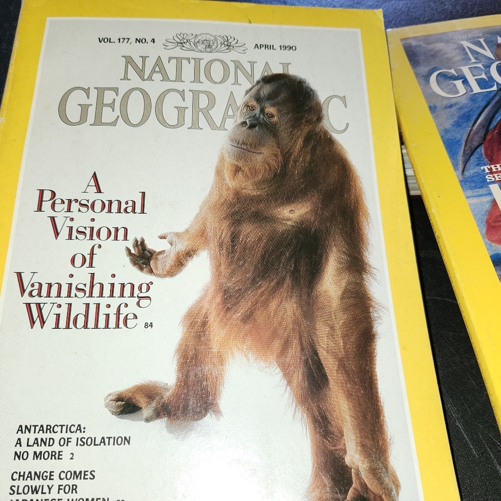 Random National Geographic Magazines - Picture 6 of 12